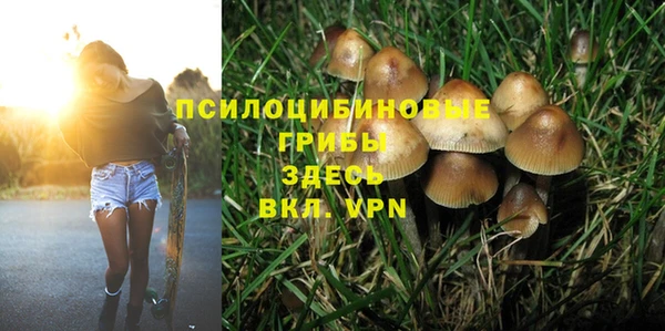 кристаллы Алексеевка