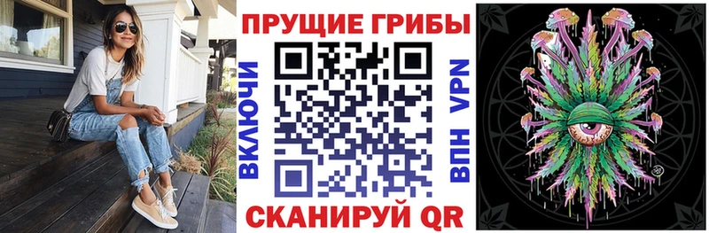 Галлюциногенные грибы Psilocybine cubensis  наркошоп  KRAKEN ссылки  Шацк 